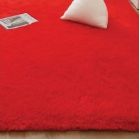 Plush - Ruby Red - 100*160Cm