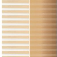 Zebra Blinds 25mm 160Cm(W) X 180Cm(H) - Champange
